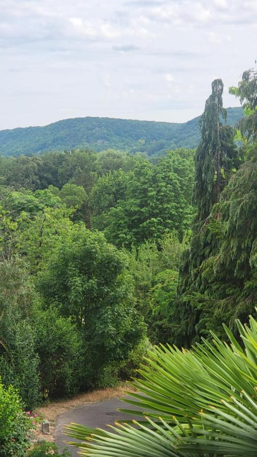 The View Bed and Breakfast Giverny Exterior foto